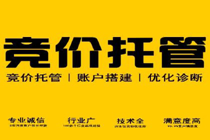 探索SEM优化公司如何助力企业品牌建设